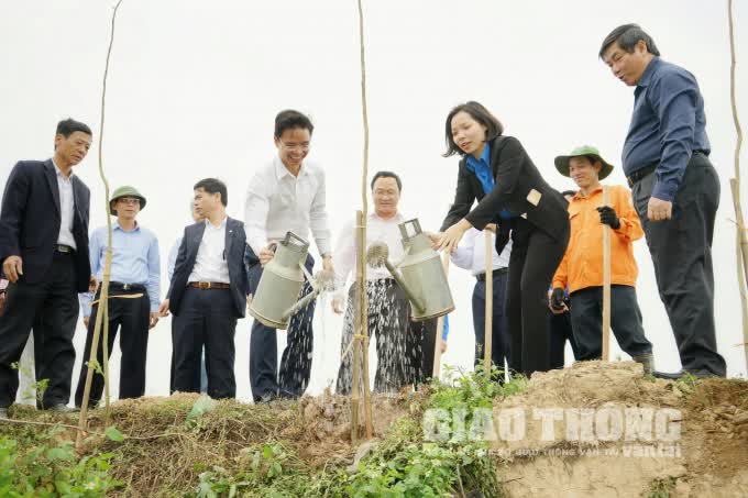 Bí thư Đoàn Thanh niên Bộ GTVT và Bí thư Tỉnh đoàn Hải Dương cùng trồng cây xanh ven đường tỉnh 38B đoạn qua huyện Thanh Miện, tỉnh Hải Dương