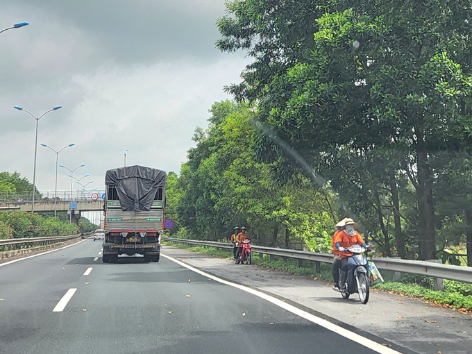 Đoàn xe máy rồng rắn đi ngược chiều trên cao tốc Cầu Giẽ - Ninh Bình đoạn qua Km250 hướng đi Hà Nội.