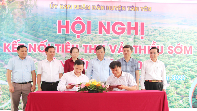 Phó Chủ tịch UBND tỉnh Bắc Giang Phan Thế Tuấn và các đại biểu chứng kiến lễ ký kết về việc tiêu thụ vải thiều sớm hôm 20/5.
