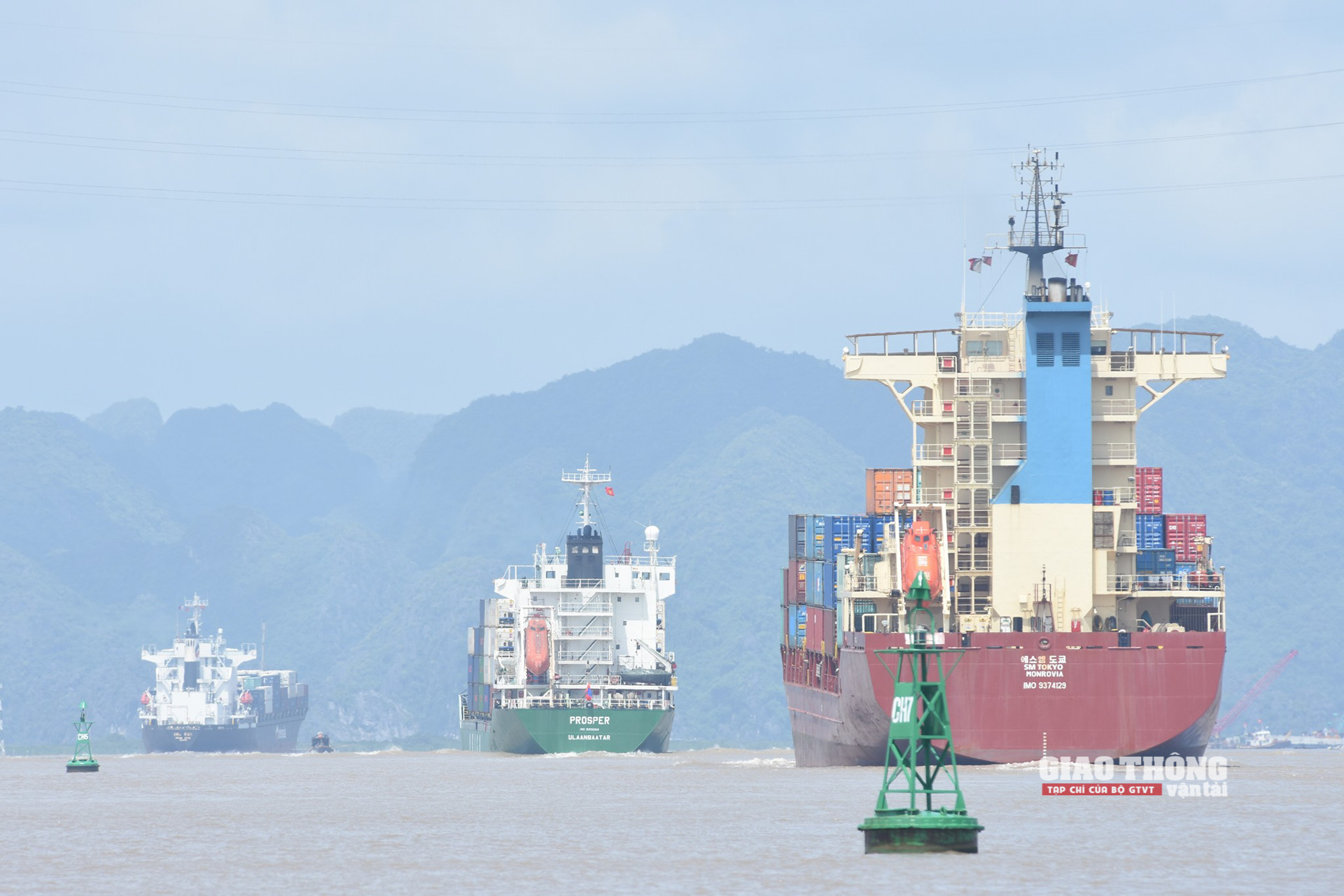 Sản lượng hàng hóa xuất nhập khẩu của Việt Nam chủ yếu do đội tàu nước ngoài đảm nhận, chiếm trên 90%, đặc biệt là các tuyến biển xa như châu Mỹ, châu Âu.