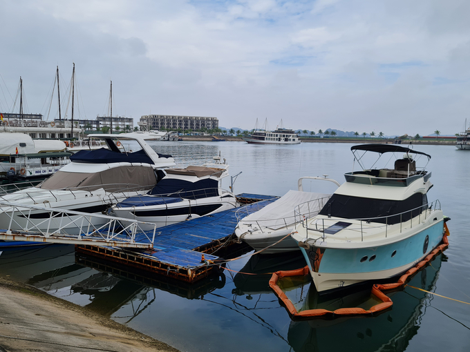 Một số du thuyền neo đậu tại cảng tàu khách quốc tế Tuần Châu (ảnh chụp tháng 5/2022)