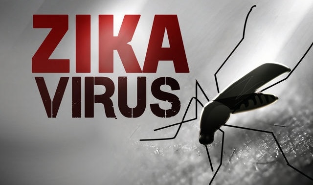 virus-zika-5