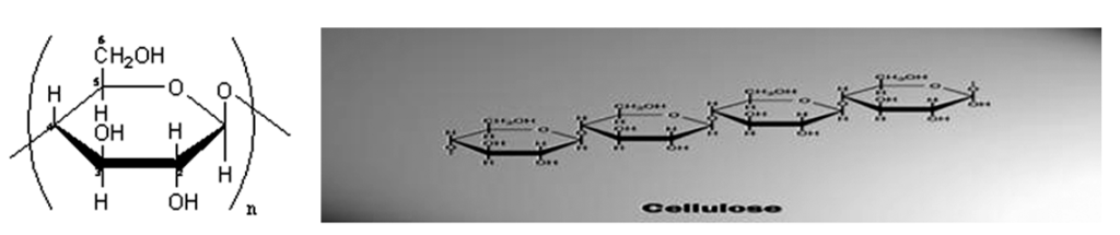 Hình 4.1: Cấu trúc phân tử của Xenlulõ