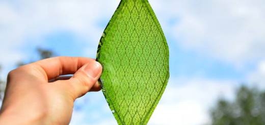 Cây nhân tạo có thể quang hợp ra... xăng
