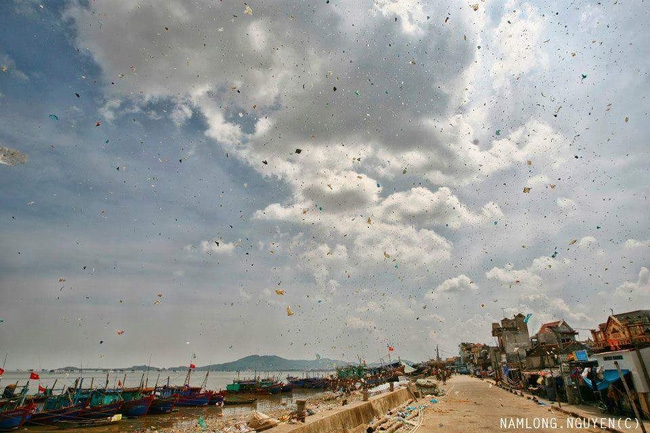 Ám ảnh cảnh rác bay rợp trời ở biển Ngư Lộc