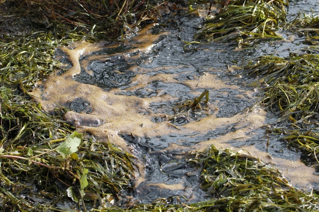15 20 bức ảnh gây sốc về tình trạng ô nhiễm nguồn 