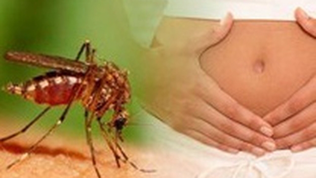 TP.HCM có 21 ca nhiễm virus Zika, trong đó có