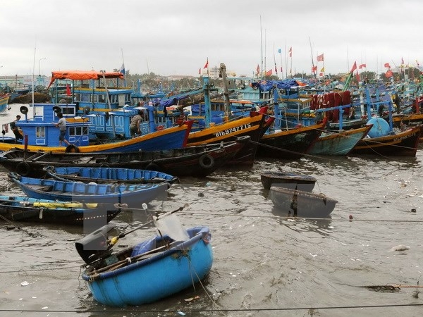 Chìm tàu cá tại Bình Thuận khiến một thuyền viên t