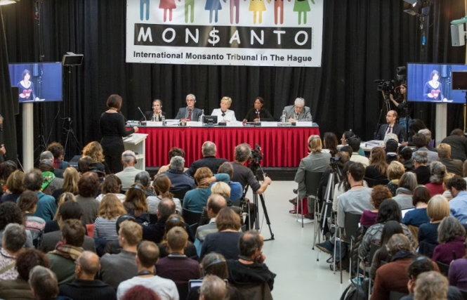 Tòa án quốc tế kết tội Monsanto hủy diệt môi trườn