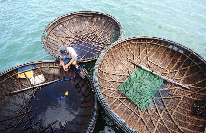 1 Bí quyết nghề đan thuyền thúng câu mực ở Quảng N