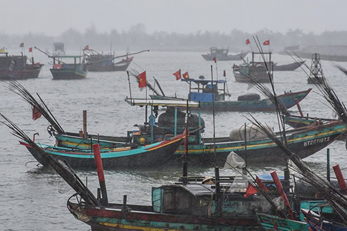 Hai bố con tử vong khi câu mực