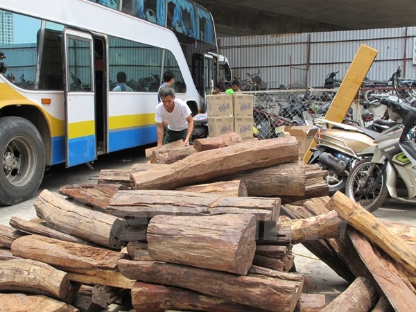 Hơn 2 tấn gỗ lậu được cơ quan chức năng bắt giữ