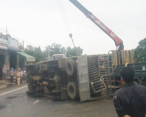 vovgiaothong_Quảng ngãi: Hai xe tải đối đầu, hàng chục con lợn bị đè chết