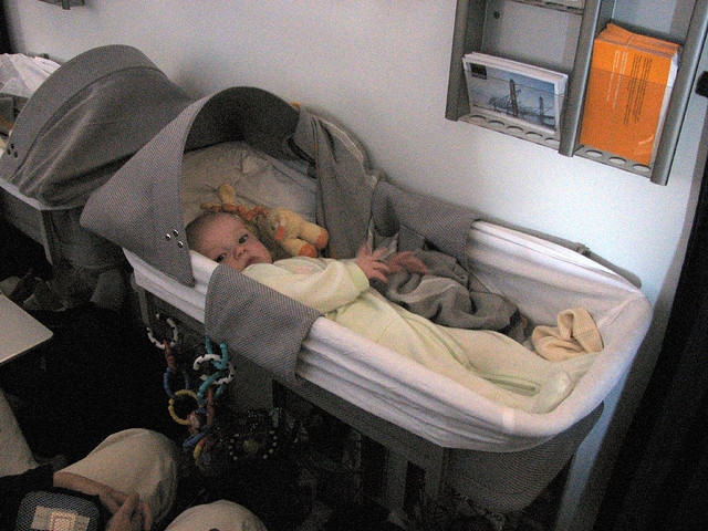 flight-baby-bassinet