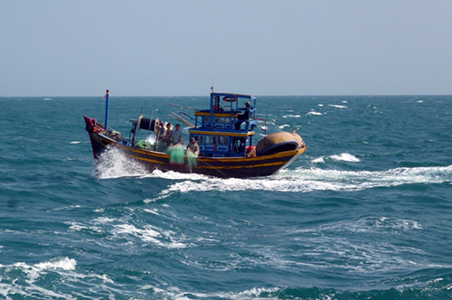 Tàu cá đánh bắt trên vùng biển Bình Thuận: Ảnh minh họa: Tư Huynh