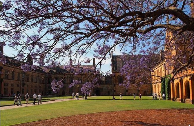 SydneyUniversity8