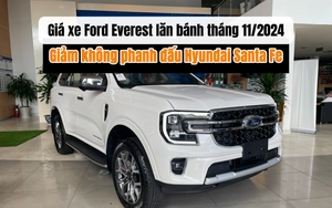 Giá xe Mitsubishi Triton lăn bánh tháng 11/2024: Ưu đãi cạnh tranh Ford Ranger - Ảnh 8.