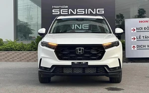 Lần đầu VinFast Limo Green lộ diện ngoài đời thực - Ảnh 10.
