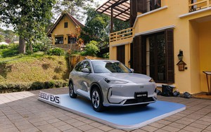 Người dùng bán tháo ô tô xăng dầu, salon xe cũ liên tục từ chối - Ảnh 5.