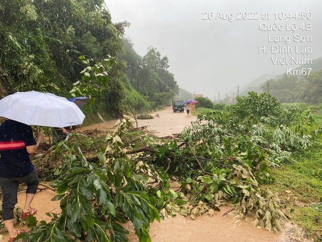 Lạng Sơn: Thiệt hại do cơn bão gây ra gần 10 tỷ đồng - Ảnh 1.