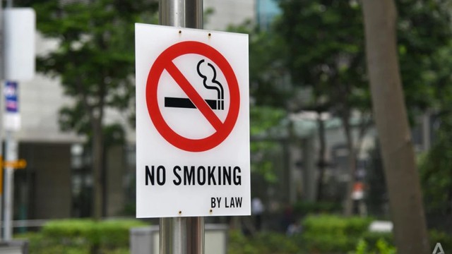 Singapore quốc gia có lệnh cấm thuốc lá nghiêm ngặt nhất thế giới- Ảnh 2.