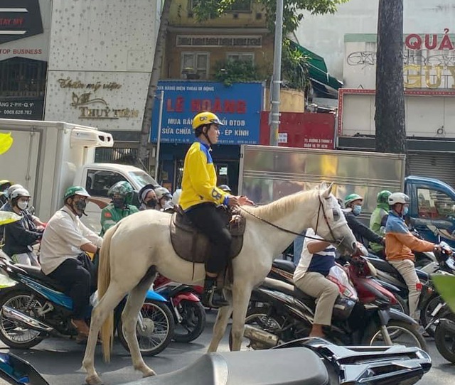 TP.HCM: CSGT xử phạt thanh niên cưỡi ngựa dạo phố - Ảnh 1.