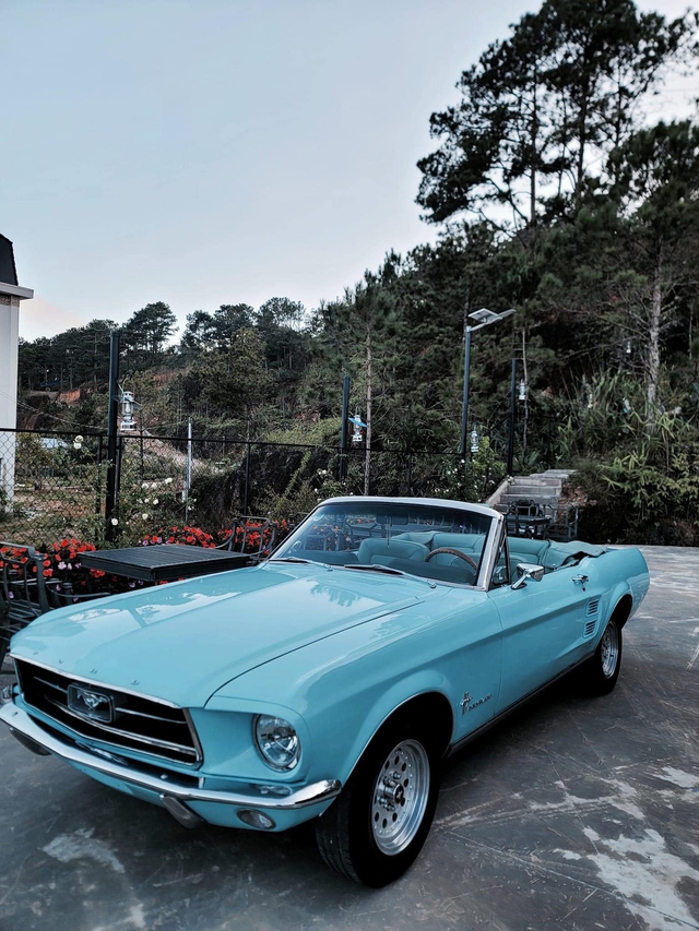Ngắm Ford Mustang Convertible Blue 1966 giá gần 2 tỷ đồng - Ảnh 3.