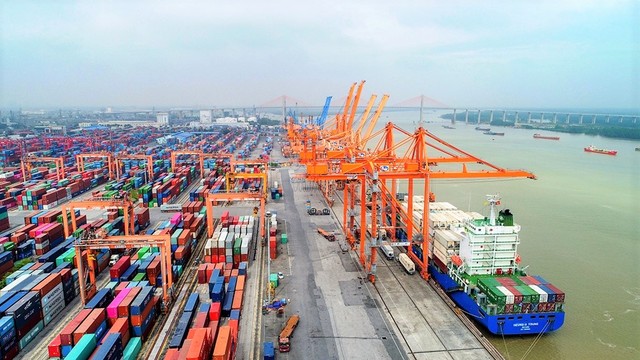Vì sao hàng hóa thông qua cảng biển Việt Nam tiếp tục giảm? - Ảnh 1.
