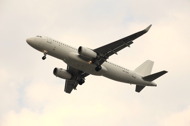 Hình ảnh mới nhất về máy bay Airbus A320 được bổ sung vào đội bay phục vụ cao điểm Tết- Ảnh 4.