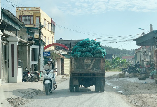 Quảng Ninh: Cần sớm nâng cấp Tỉnh lộ 331 đoạn nối trung tâm xã Hoàng Tân - Ảnh 1.