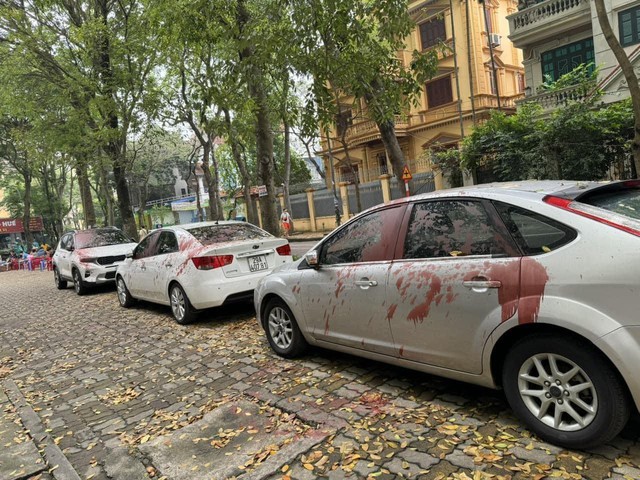 Công an Hà Nội vào cuộc điều tra vụ 6 ôtô con bị kẻ xấu tạt sơn- Ảnh 1.