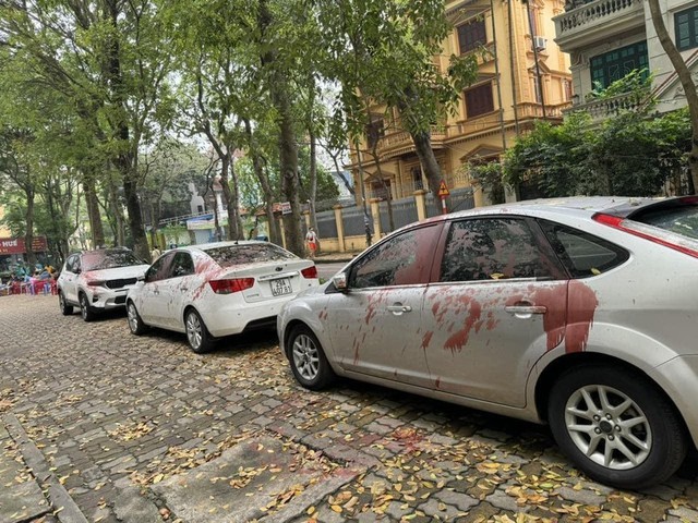 Khởi tố, bắt giam 4 đối tượng vụ tạt sơn ôtô ở phường Định Công- Ảnh 2.