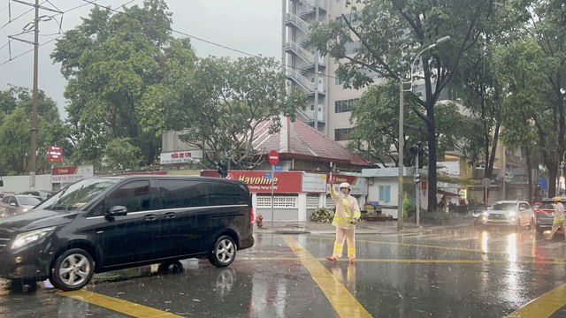 TP. HCM mưa lớn cây gãy đổ khiến giao thông rối loạn- Ảnh 4.
