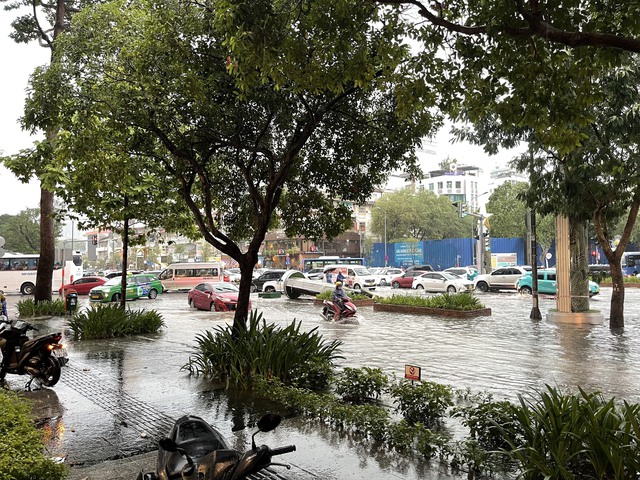 TP. HCM mưa lớn cây gãy đổ khiến giao thông rối loạn- Ảnh 5.