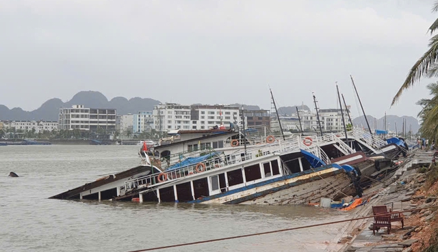 Bão Yagi đánh chìm gần 30 tàu du lịch, hầu hết tàu chở hàng an toàn - Ảnh 1.
