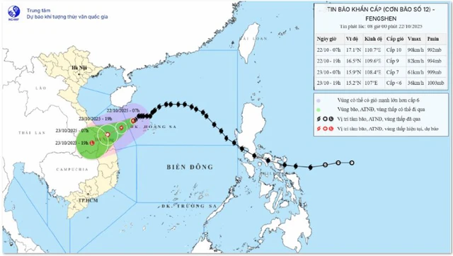 Chủ động ứng phó với bão số 12 - Ảnh 1.
