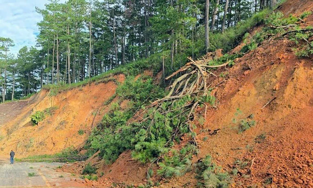 Lâm Đồng khẩn trương khắc phục vụ sạt lở nghiêm trọng trên Đèo D’ran- Ảnh 2. Lâm Đồng khẩn trương khắc phục vụ sạt lở nghiêm trọng trên Đèo D’ran- Ảnh 2.