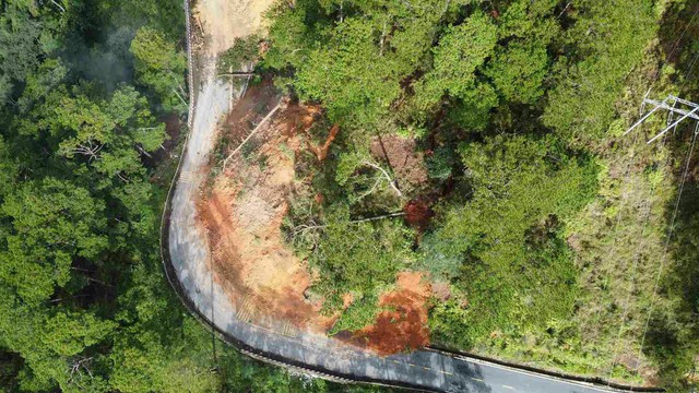 Lâm Đồng khẩn trương khắc phục vụ sạt lở nghiêm trọng trên Đèo D’ran- Ảnh 3. Lâm Đồng khẩn trương khắc phục vụ sạt lở nghiêm trọng trên Đèo D’ran- Ảnh 3.