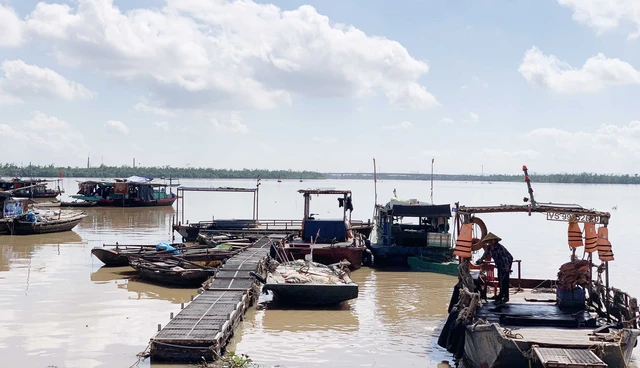 Ứng phó bão số 11: Hải Phòng kiểm đếm, thông báo hơn 1.600 tàu, thuyền về nơi neo đậu - Ảnh 1.