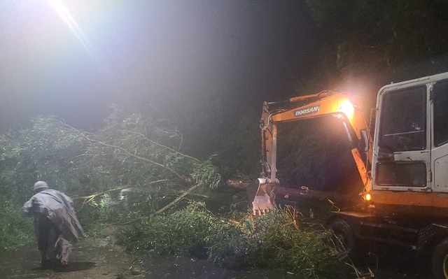 Đắk Lắk xuất hiện thiệt hại ban đầu do bão số 13: Cây xanh đổ ngã, nhiều tuyến đường ngập úng- Ảnh 1. Đắk Lắk xuất hiện thiệt hại ban đầu do bão số 13: Cây xanh đổ ngã, nhiều tuyến đường ngập úng- Ảnh 1.