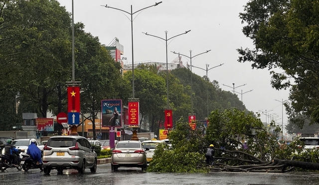 Đắk Lắk xuất hiện thiệt hại ban đầu do bão số 13: Cây xanh đổ ngã, nhiều tuyến đường ngập úng- Ảnh 3. Đắk Lắk xuất hiện thiệt hại ban đầu do bão số 13: Cây xanh đổ ngã, nhiều tuyến đường ngập úng- Ảnh 3.