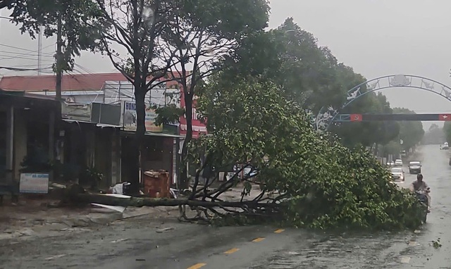 Đắk Lắk xuất hiện thiệt hại ban đầu do bão số 13: Cây xanh đổ ngã, nhiều tuyến đường ngập úng- Ảnh 2. Đắk Lắk xuất hiện thiệt hại ban đầu do bão số 13: Cây xanh đổ ngã, nhiều tuyến đường ngập úng- Ảnh 2.