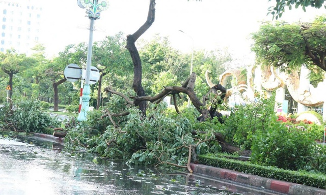 Đắk Lắk khẩn trương khắc phục thiệt hại, sớm nối lại giao thông toàn tuyến- Ảnh 1. Đắk Lắk khẩn trương khắc phục thiệt hại, sớm nối lại giao thông toàn tuyến- Ảnh 1.