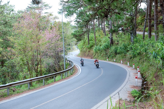 Lâm Đồng: Tạm mở đèo Prenn vào Đà Lạt theo khung giờ cố định- Ảnh 2. Lâm Đồng: Tạm mở đèo Prenn vào Đà Lạt theo khung giờ cố định- Ảnh 2.