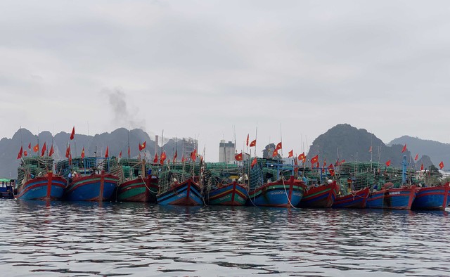 Quảng Ninh công bố 76 điểm trú bão cho tàu thuyền  - Ảnh 1.