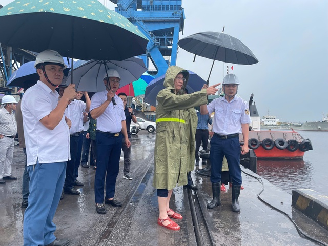 Ngành Hàng hải và đường thủy chủ động ứng phó bão Bualoi, sẵn sàng phương án tìm kiếm cứu nạn - Ảnh 2.