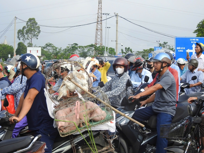 Cận cảnh người và phương tiện nườm nượp qua cầu phao Phong Châu- Ảnh 8.