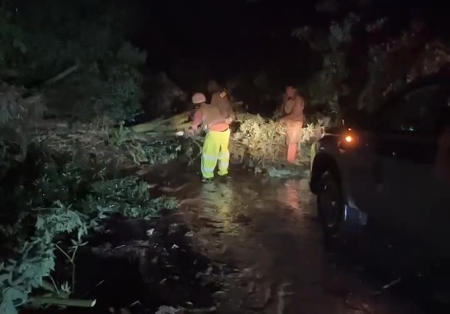 Đắk Lắk xuất hiện thiệt hại ban đầu do bão số 13: Cây xanh đổ ngã, nhiều tuyến đường ngập úng- Ảnh 5.