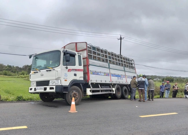 Đắk Lắk: Va chạm với ô tô tải, cụ ông 71 tuổi đi xe đạp tử vong thương tâm- Ảnh 1.