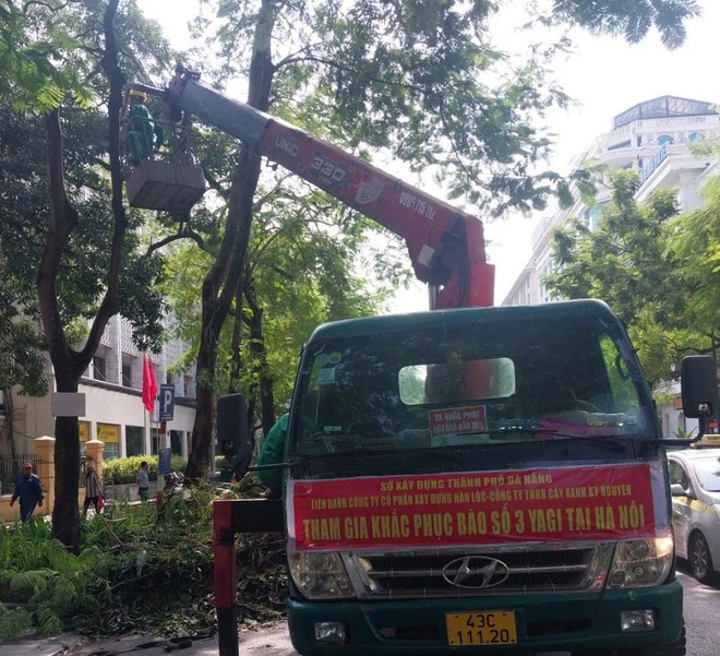 Sẵn sàng tăng ca làm đêm, hỗ trợ Hà Nội giải tỏa cây xanh ngã đổ, đảm bảo giao thông sau bão số 3 - Ảnh 8.